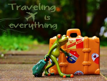 frog, to travel, vacations-996728.jpg